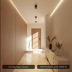 Bela Ceiling Light | Modern Cylindrical Design, Up-Down Illumination