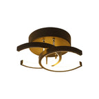 Acantha - Modern LED Ceiling Light