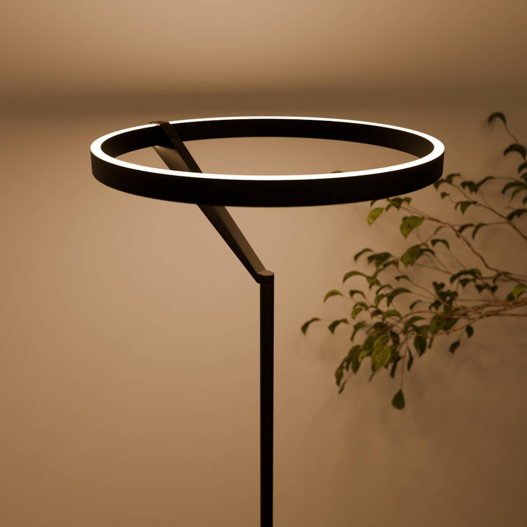 Bela Floor Lamp | Dimmable, Adjustable Color Temperature