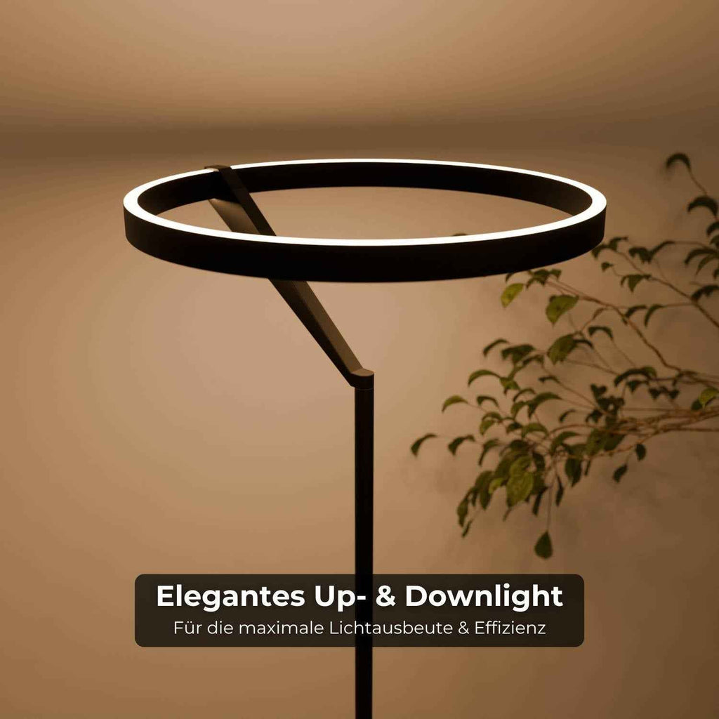 Bela Floor Lamp | Dimmable, Adjustable Color Temperature