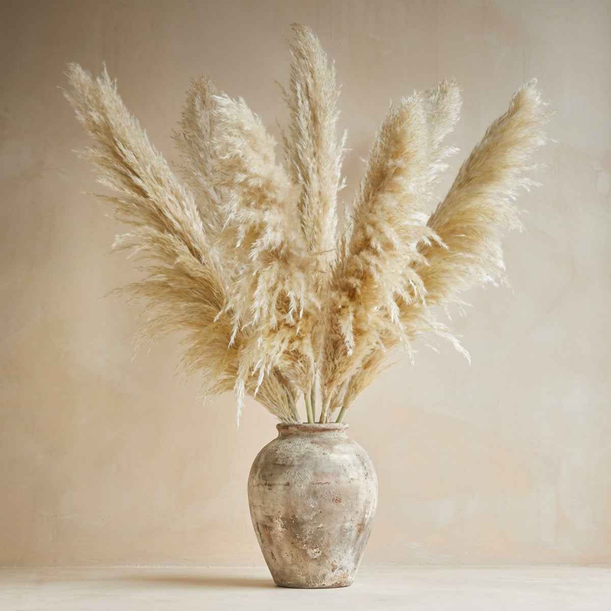 Bela Dried Pampas Grass Bouquet | XL Natural Decor for Home & Events